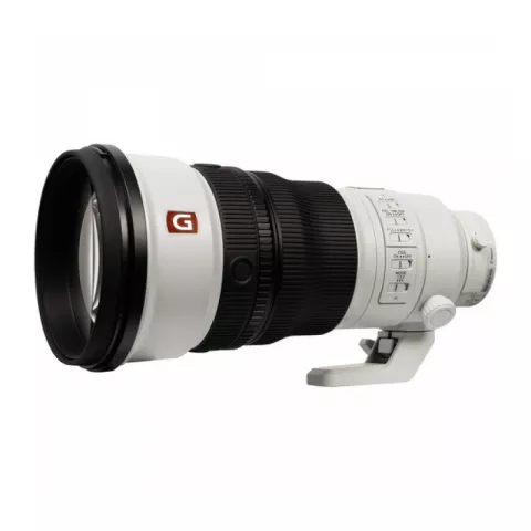 Sony FE 300mm f/2.8 GM Lens