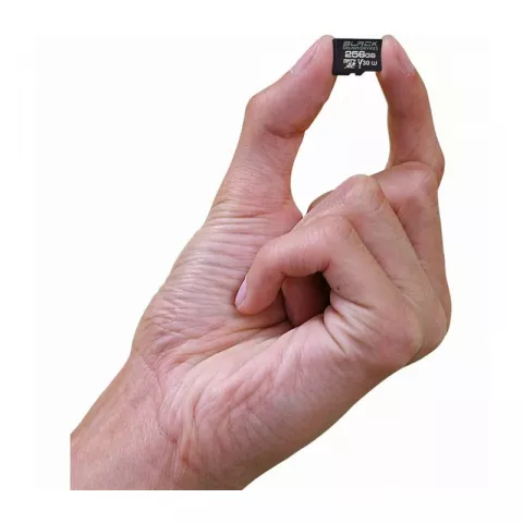 Карта памяти Delkin Devices Black Rugged microSDXC 256GB UHS-I V30 [DMSDBK256]