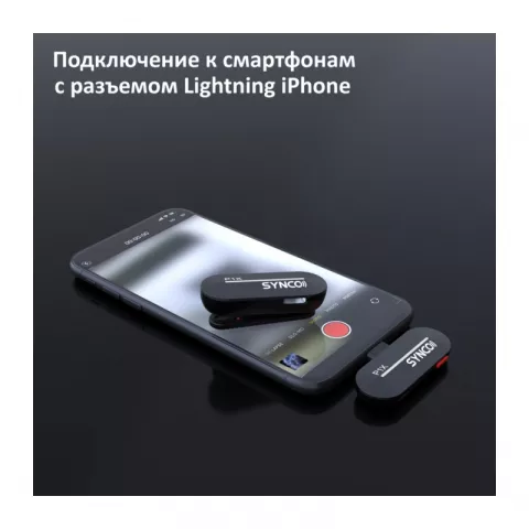 Synco P1XL Радиосистема 2,4 ГГц приемник, передатчик (Lightning iPhone)