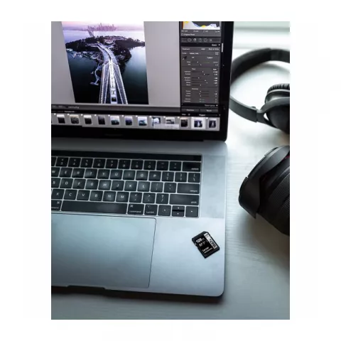 Карта памяти 64Gb Lexar Professional SILVER SDXC UHS-II V60 U3 W/R 250/120 mb/s 1667x (LSD64GCB1667)