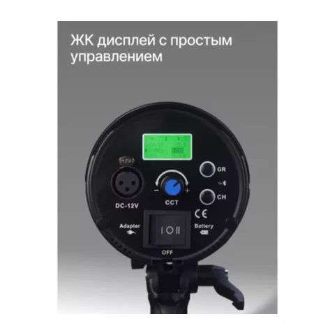 Raylab RL-100A 3200-6500К Светодиодный аккумуляторный осветитель с сумкой и адаптером